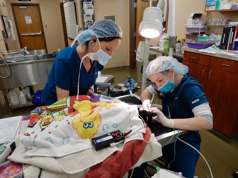 Westgate Pet Clinic