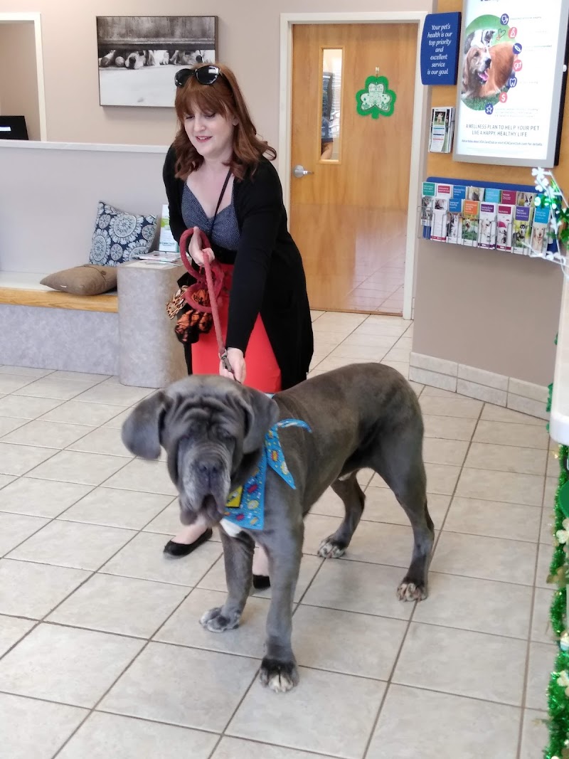 VCA Terrell Mill Animal Hospital