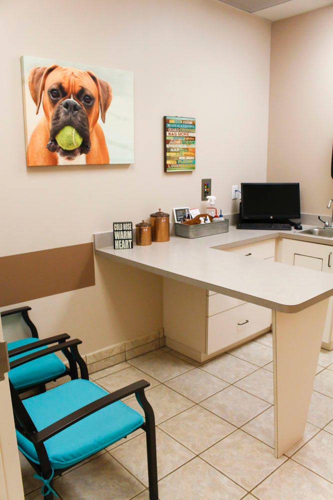 VCA Terrell Mill Animal Hospital