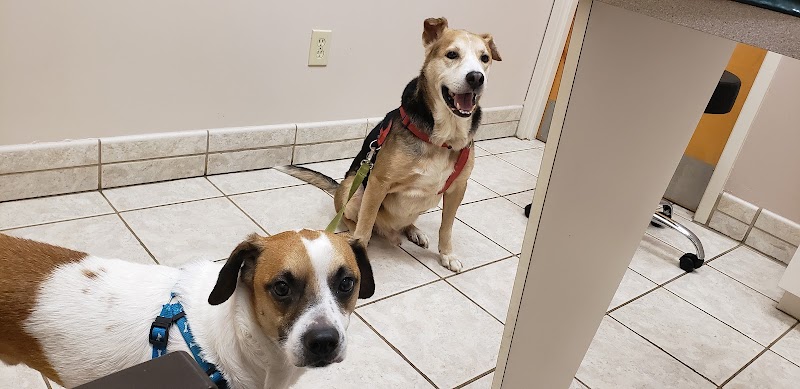 VCA Terrell Mill Animal Hospital