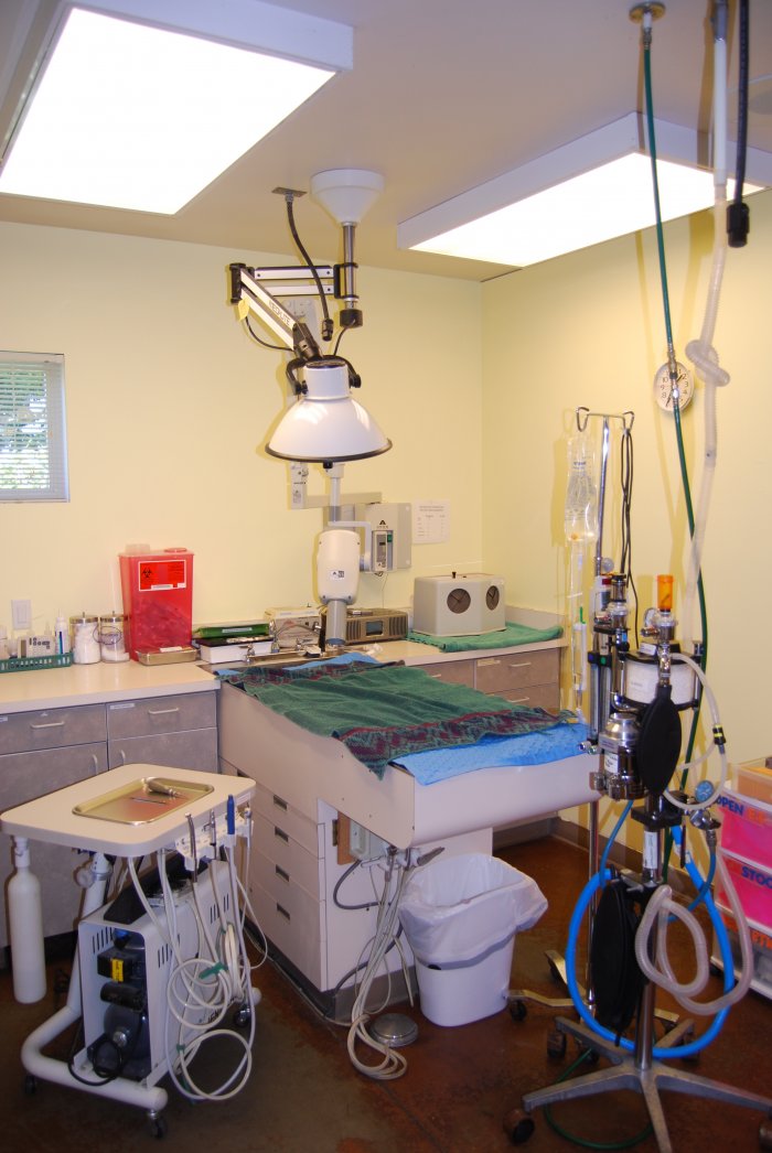 VCA West Seattle Veterinary Hospital