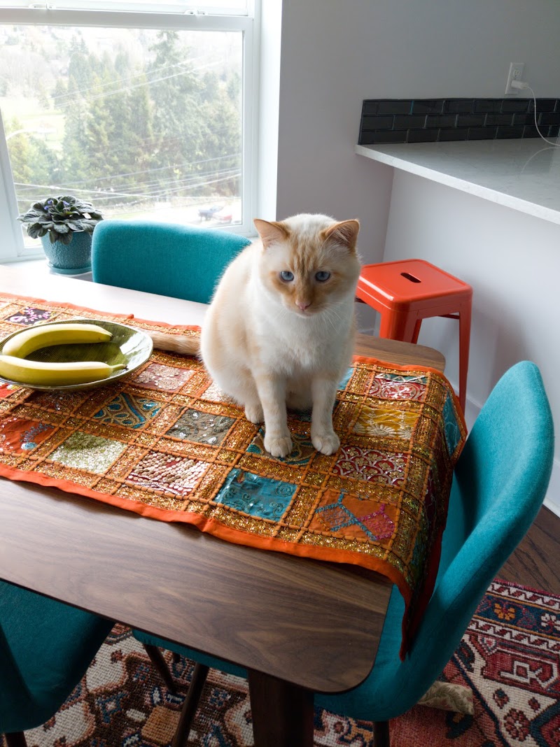 VCA West Seattle Veterinary Hospital