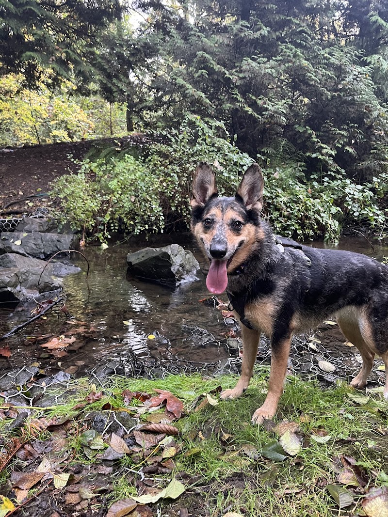VCA West Seattle Veterinary Hospital