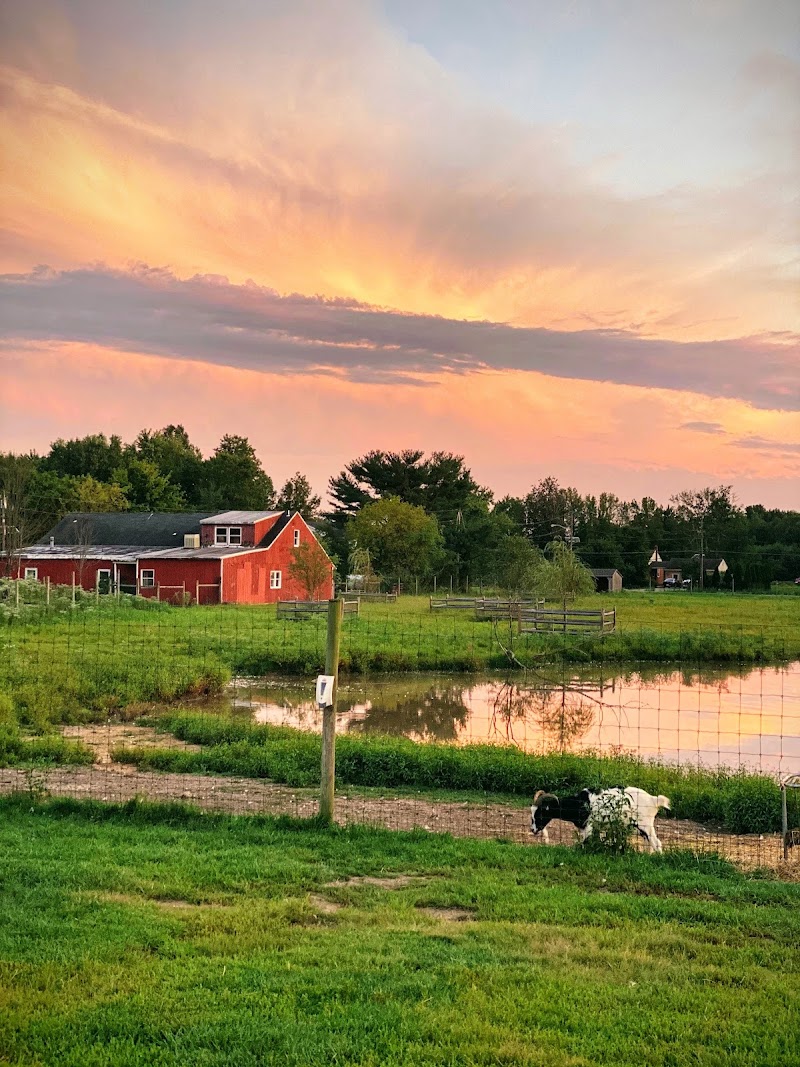 Mount Laurel Animal Hospital