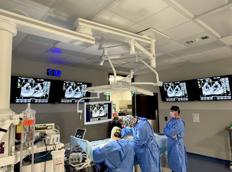 Central Florida Veterinary Cardiology