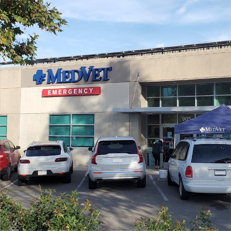 MedVet Campbell - Campbell