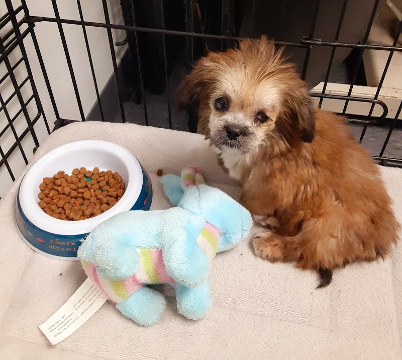 Trail Pet Hospital