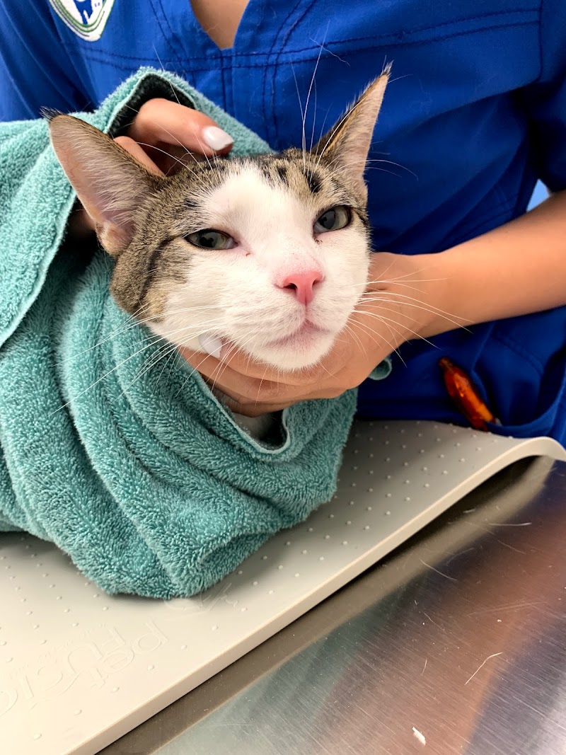 Trail Pet Hospital
