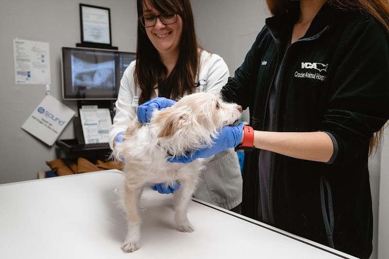 VCA Crocker Animal Hospital