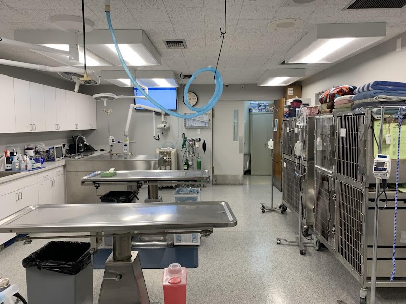 VCA Crocker Animal Hospital