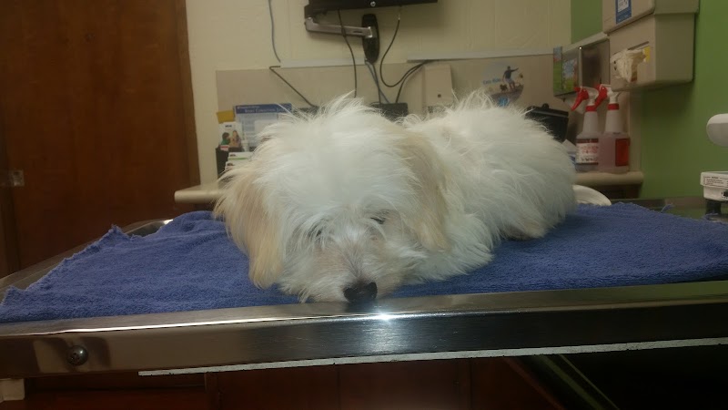 VCA Crocker Animal Hospital
