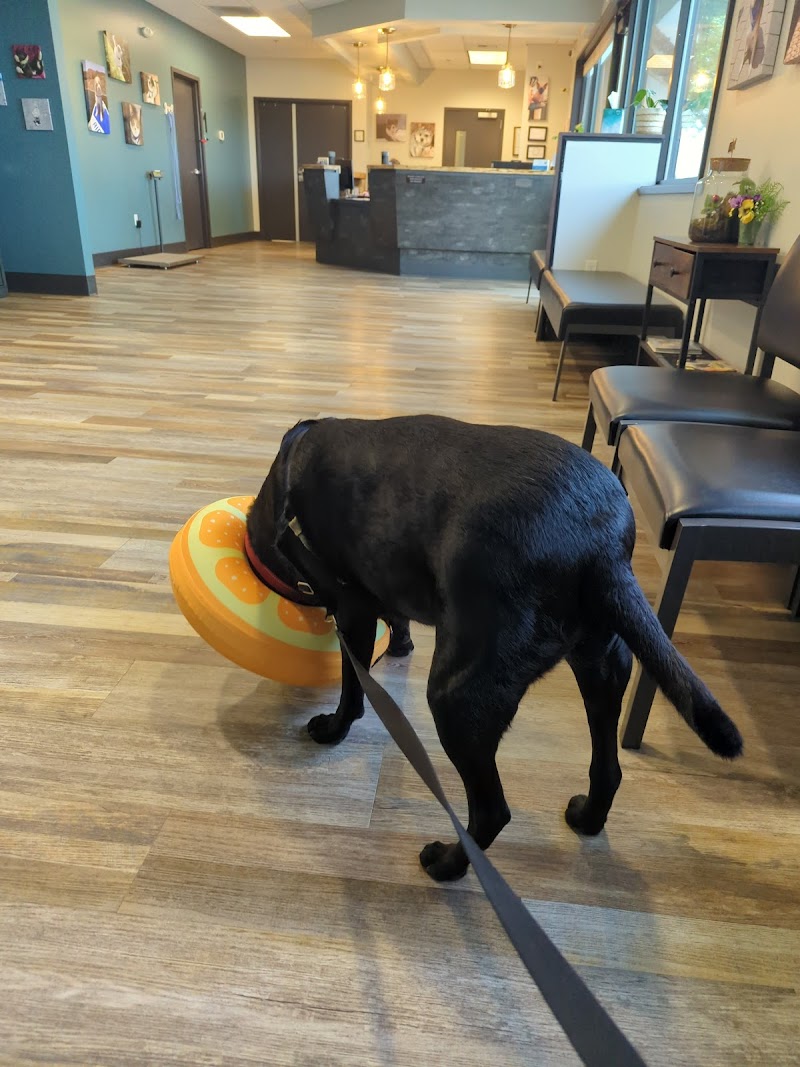 Arrow Animal Urgent Care