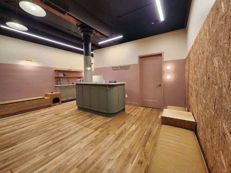 Tribeca Veterinary Dentistry