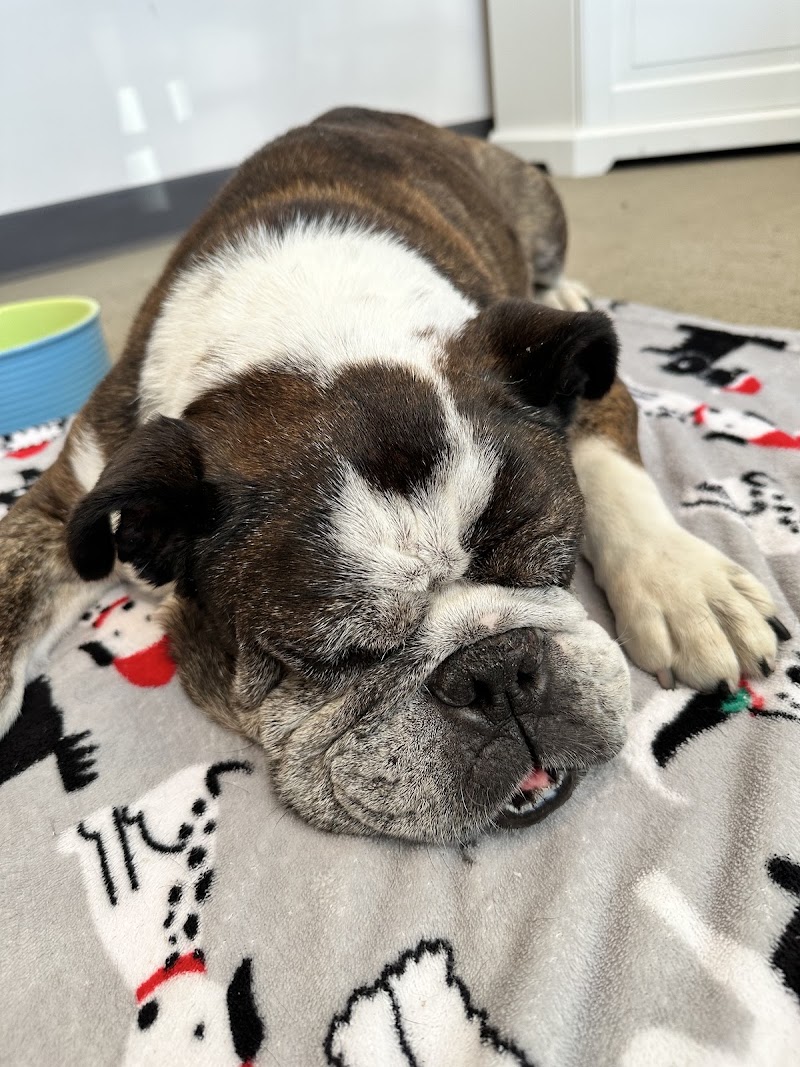 Gabriel Park Veterinary Clinic