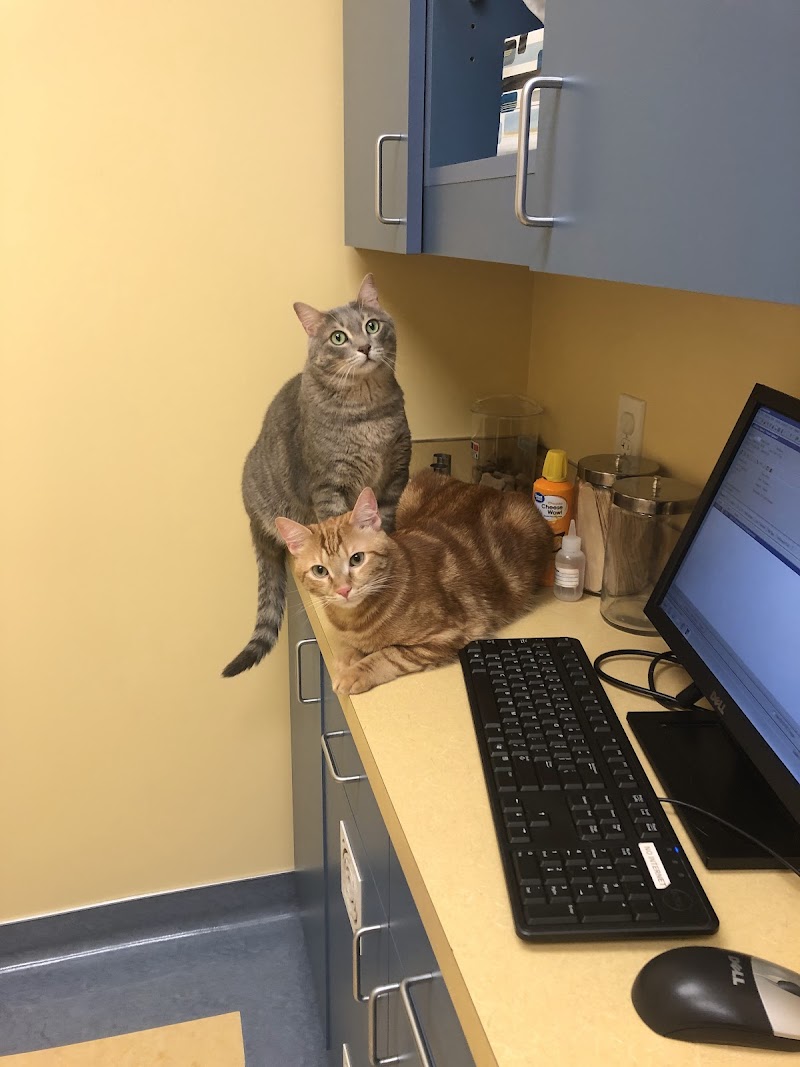 Gabriel Park Veterinary Clinic