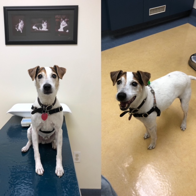 Gabriel Park Veterinary Clinic