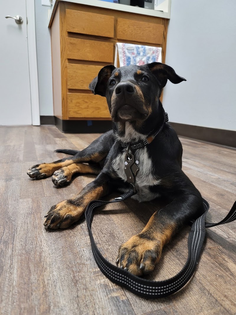 Bernardo Heights Veterinary Hospital