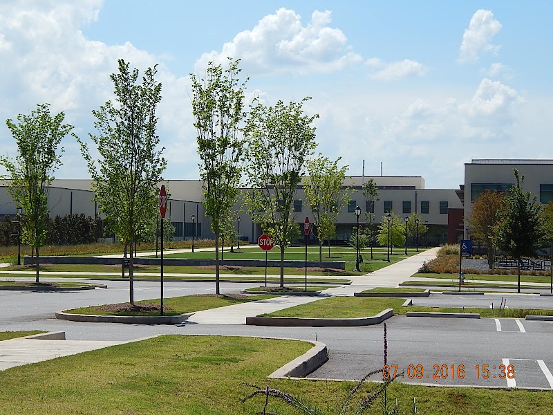 University of Georgia College of Veterinary Medicine