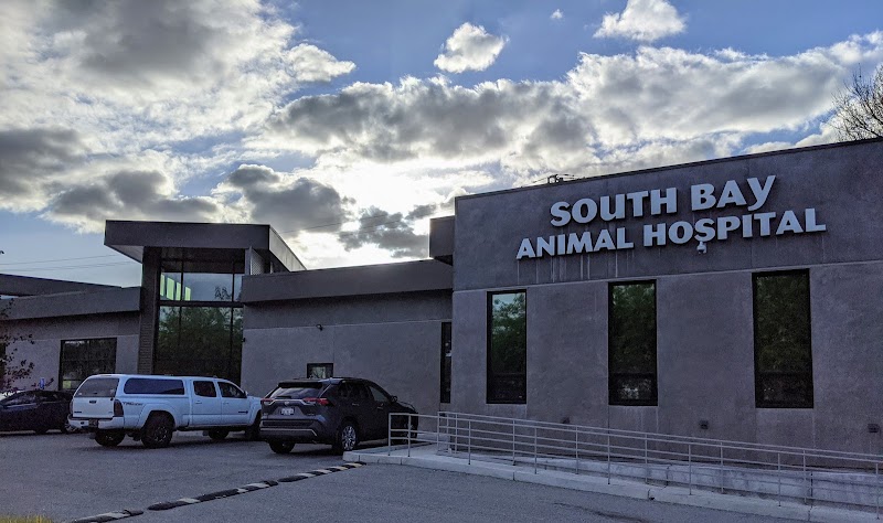 South Bay Animal Hospital & Emergency - San Jose