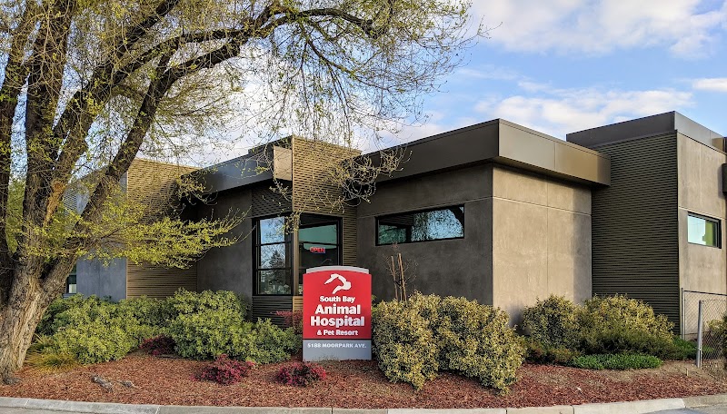 South Bay Animal Hospital & Emergency