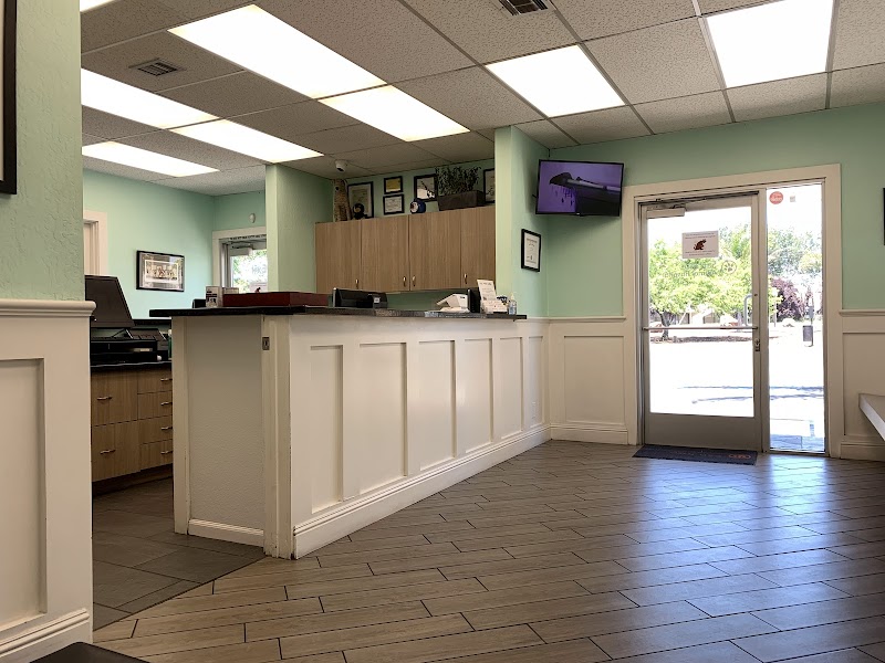 San Jose Animal Hospital, A Thrive Pet Healthcare Partner
