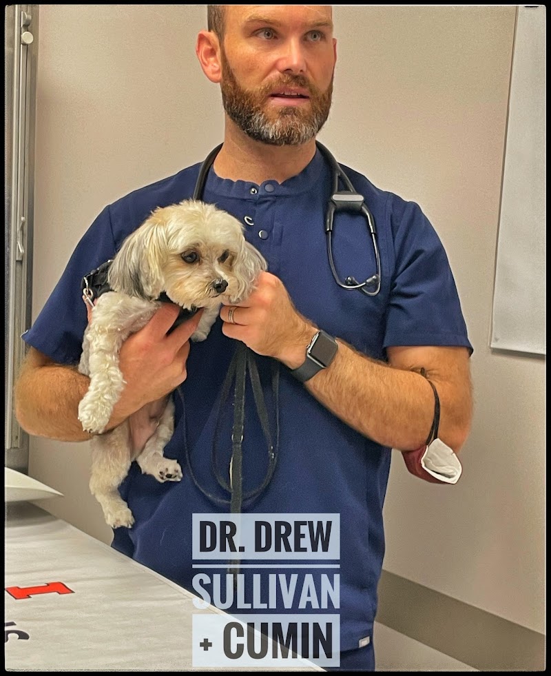 Medical District Veterinary Clinic at Illinois