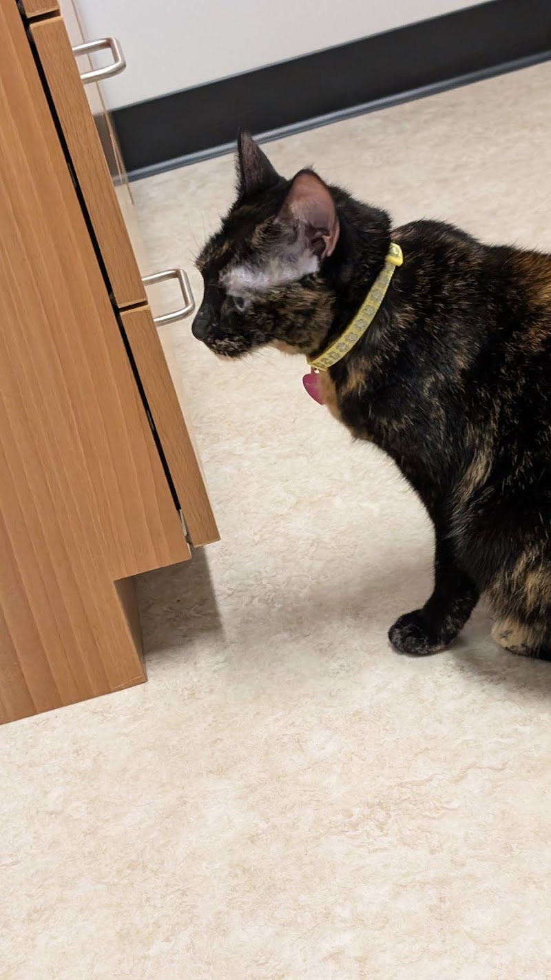 Medical District Veterinary Clinic at Illinois
