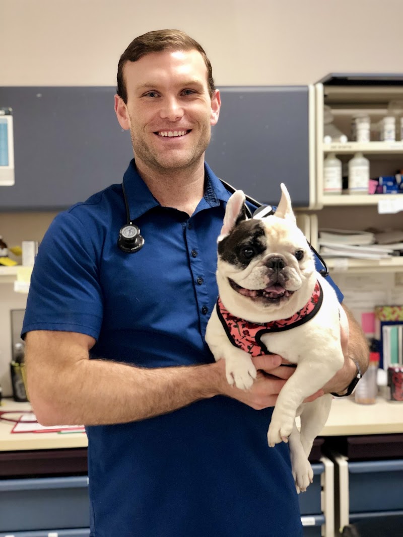 Medical District Veterinary Clinic at Illinois - Chicago