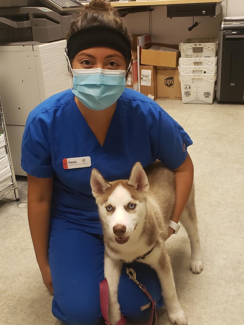 Medical District Veterinary Clinic at Illinois