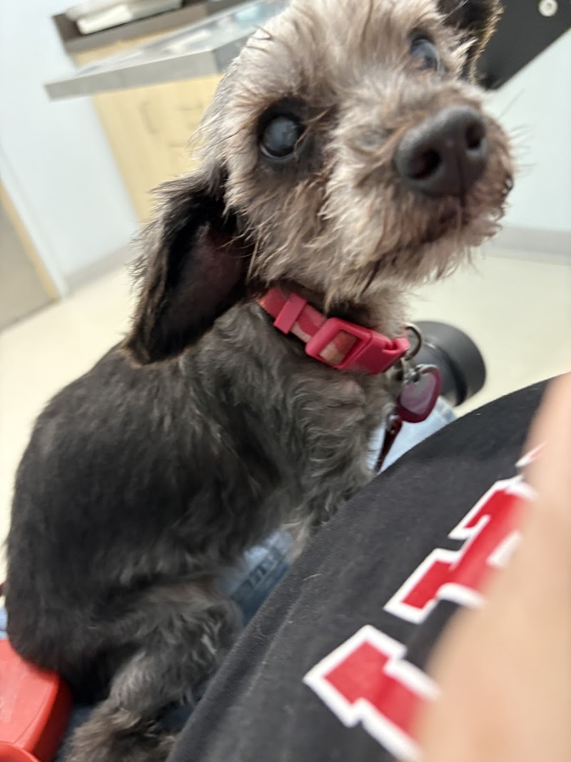 Veterinary Urgent Care Center - Plymouth