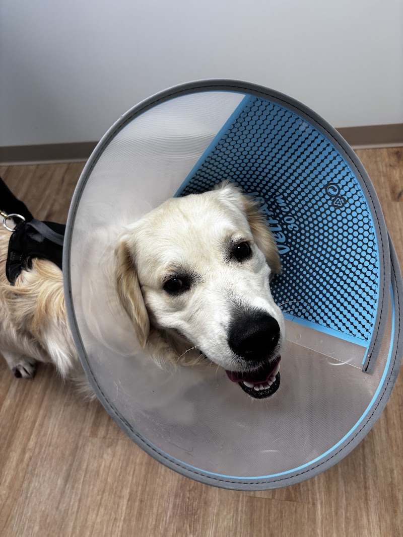 Veterinary Urgent Care Center - Plymouth