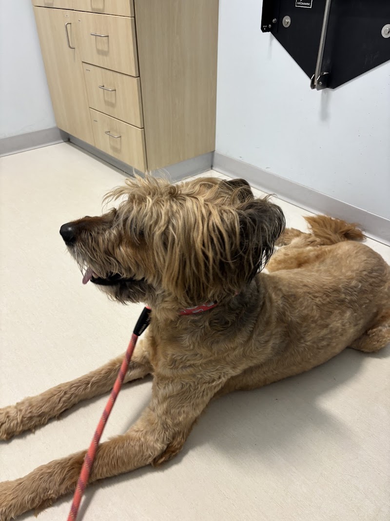 Veterinary Urgent Care Center - Plymouth