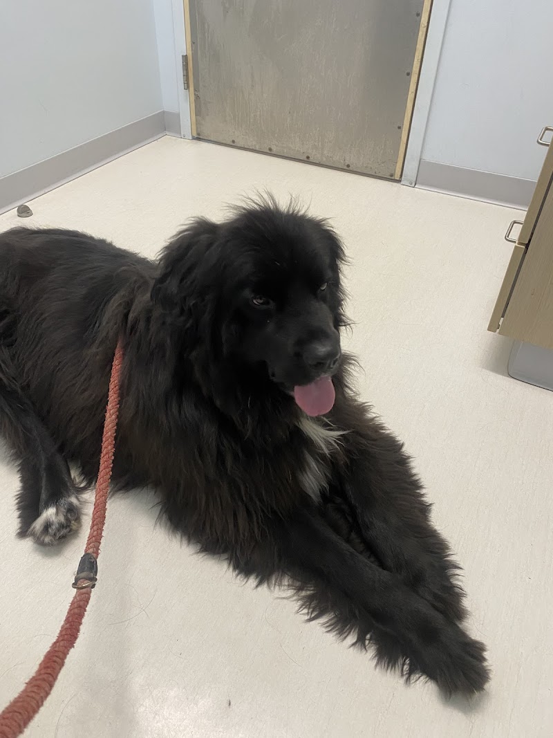 Veterinary Urgent Care Center - Plymouth