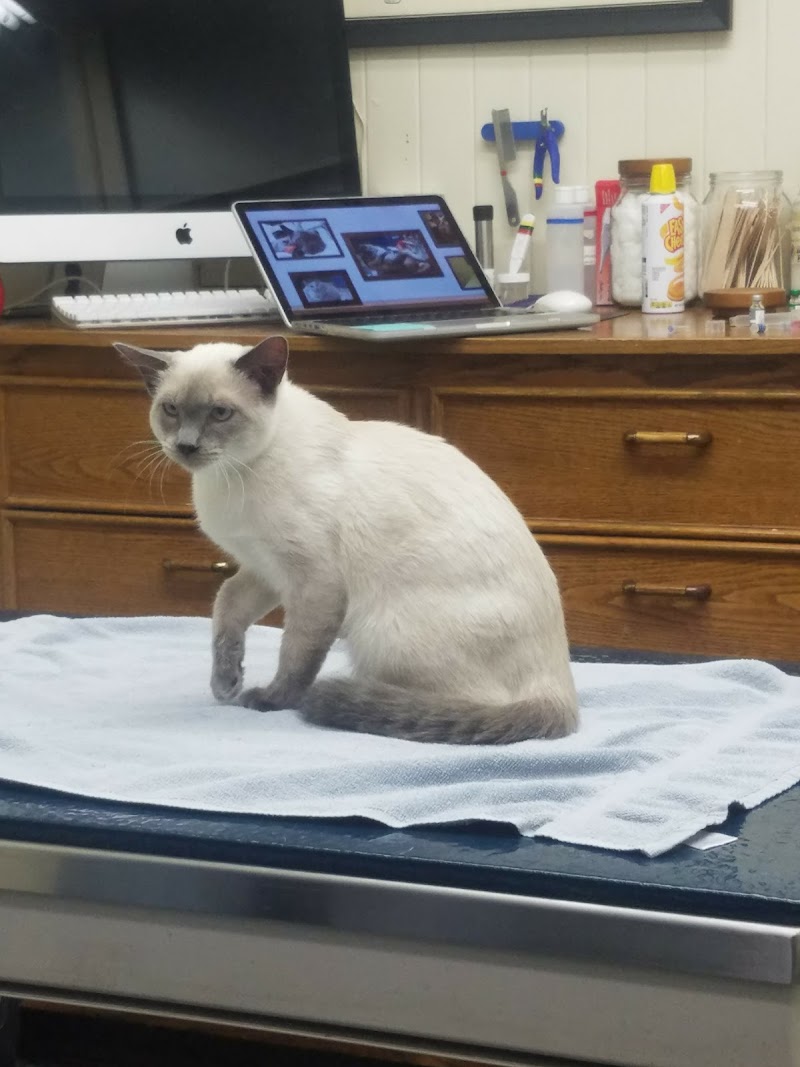 San Francisco Pet Hospital