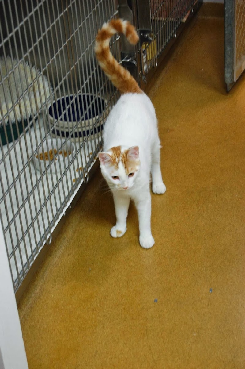 Oak Grove Veterinary Hospital