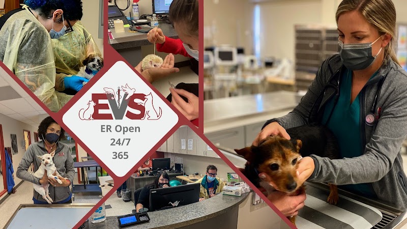 Evolution Veterinary Specialty and Emergency Hospital - Denver