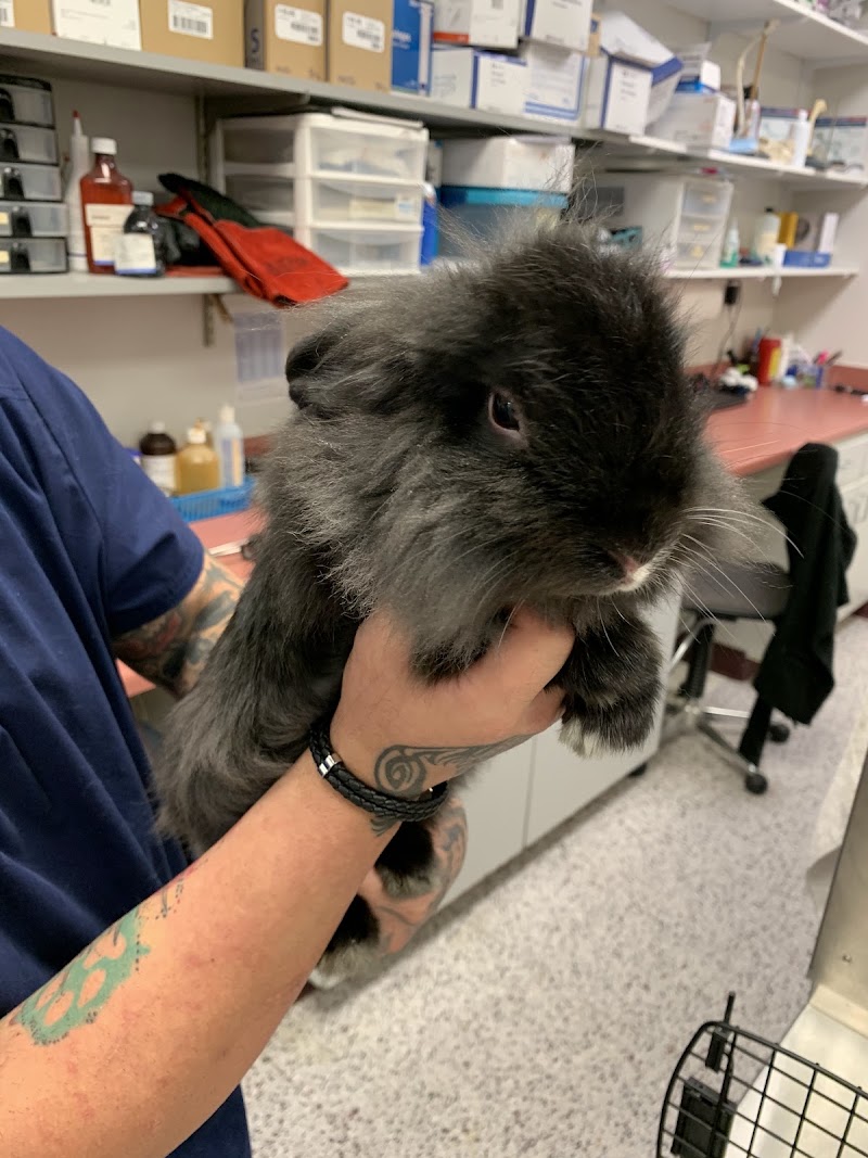 Memorial Veterinary Pet Care Hospital