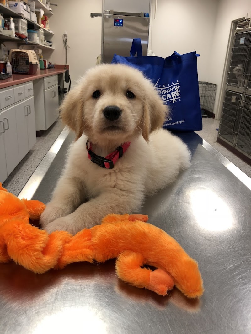 Memorial Veterinary Pet Care Hospital