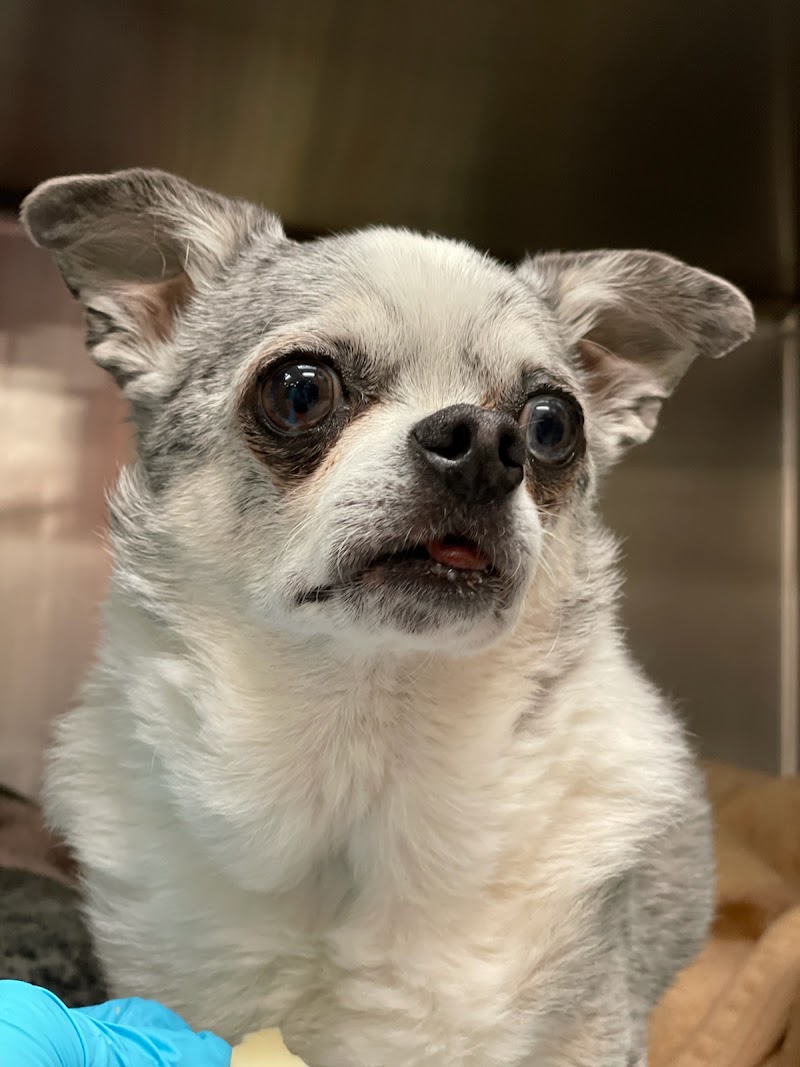 Animal Emergency & Referral Center of Minnesota (AERC)