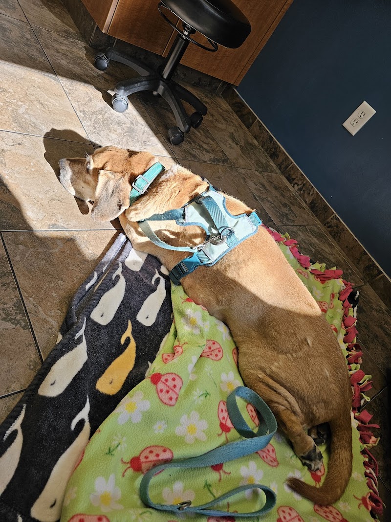 Animal Emergency & Referral Center of Minnesota (AERC)