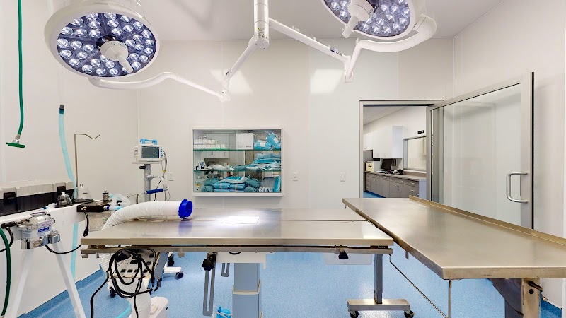 Corona Animal Emergency Center