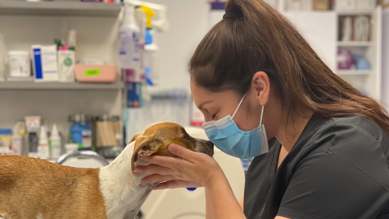 Corona Animal Emergency Center - Los Angeles