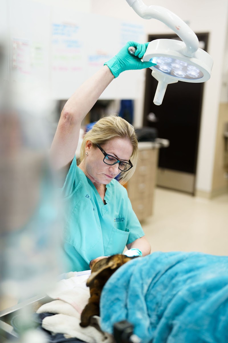 Dr. Kelly's Surgical Unit - North Phoenix