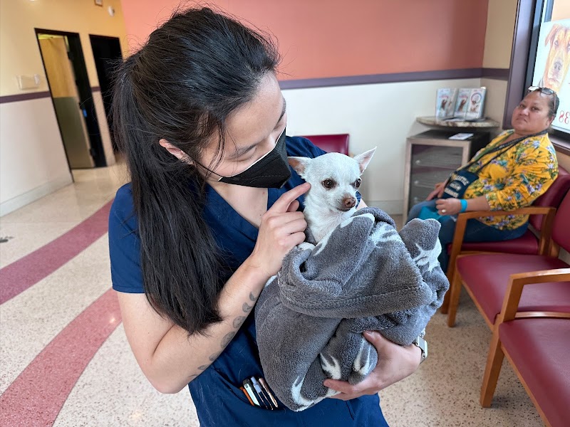 South Seattle Veterinary Hospital
