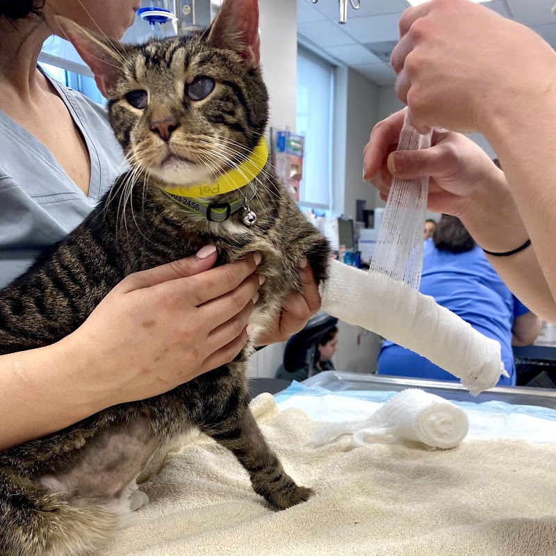 The Schwarzman Animal Medical Center