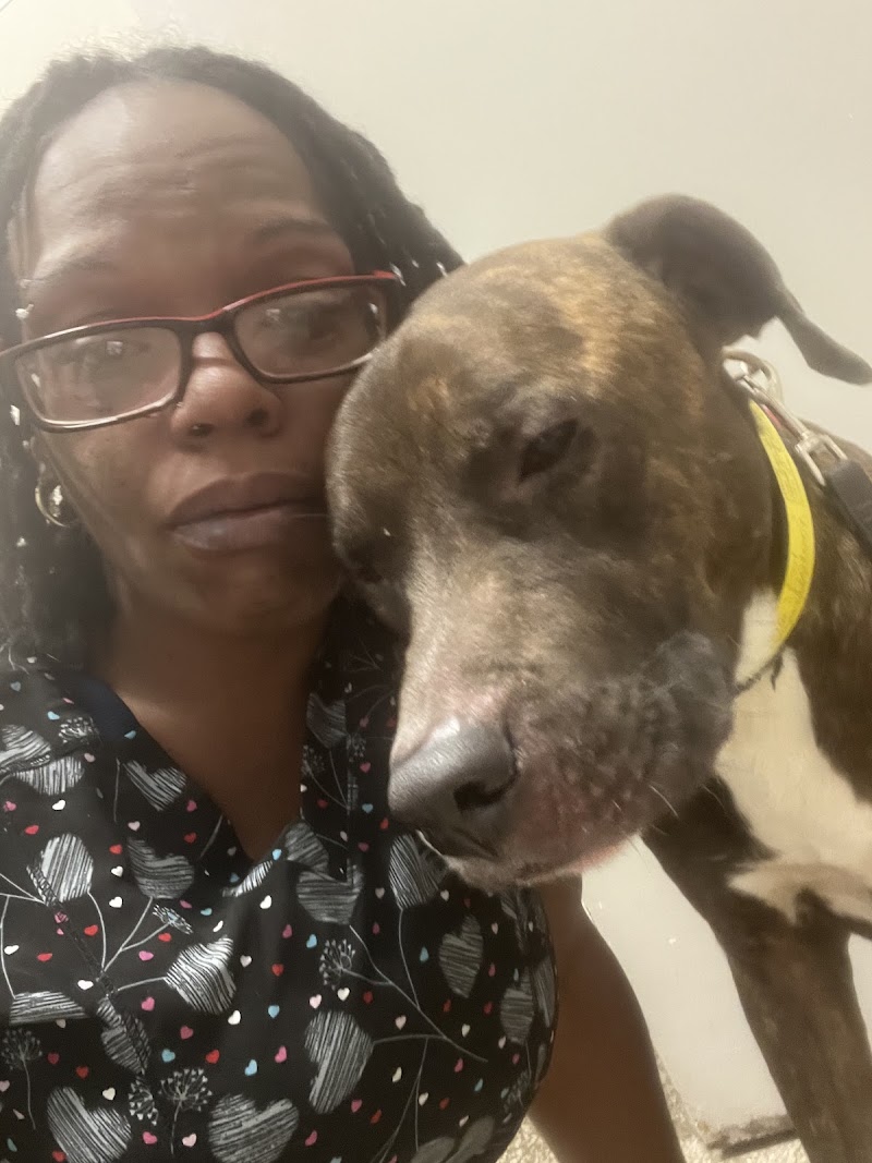 The Schwarzman Animal Medical Center