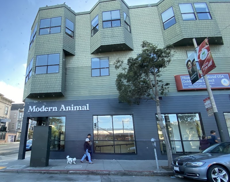Modern Animal NOPA