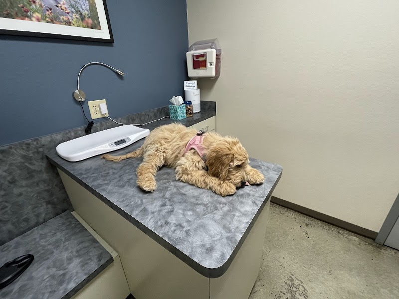 Metro Paws Animal Hospital - Oak Cliff