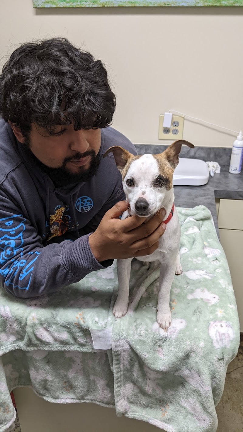 Metro Paws Animal Hospital - Oak Cliff