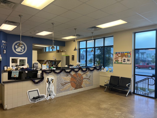 Metro Paws Animal Hospital - Oak Cliff